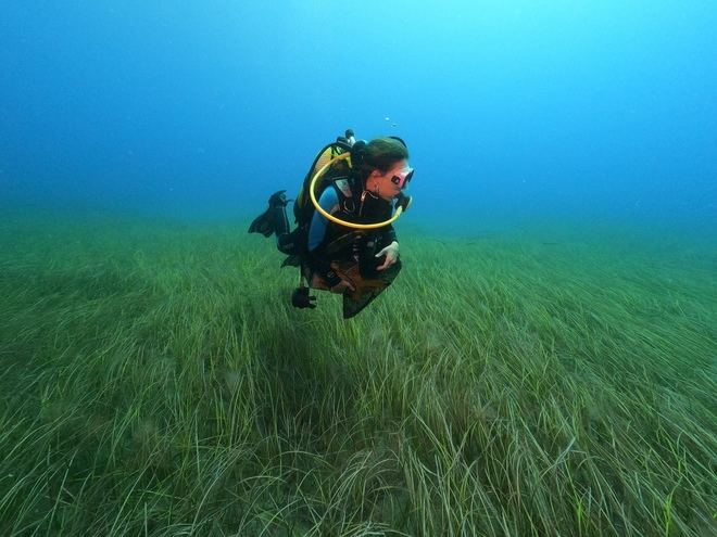 Ls pérdida de biodiversidad marina afecta a la salud de bañistas