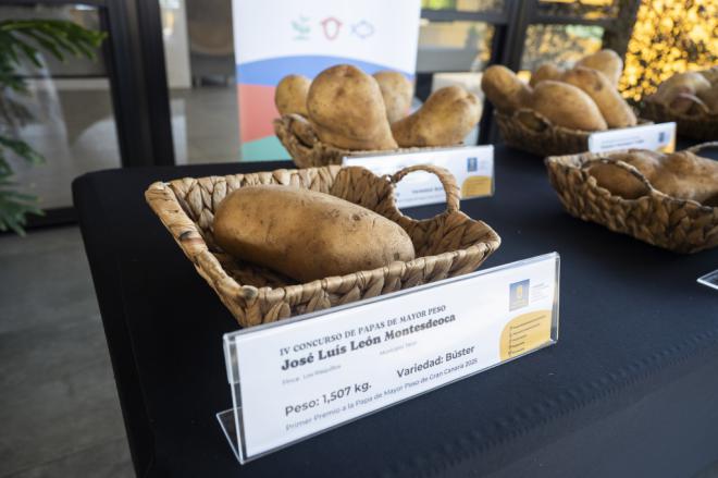 La Papa de Gran Canaria cubre el 44% del consumo del Archipiélago