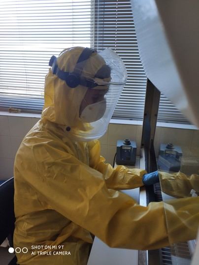 Investigación de la ULPGC sobre gripe aviar revela riesgo zoonótico