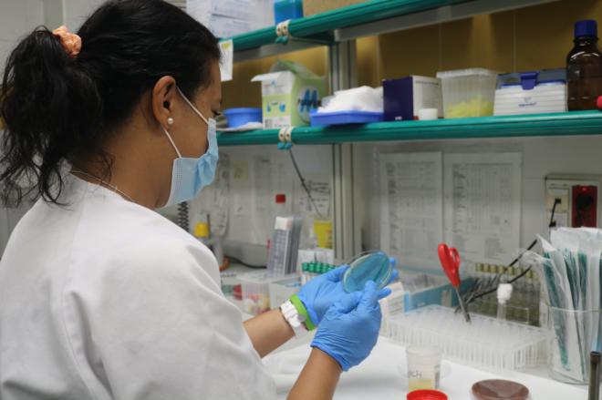 Sanidad investiga un brote de toxiinfección alimentaria en Gran Canaria por salmonella