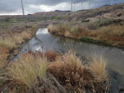 CC-PNC propone 44 proyectos por importe de 87 millones de euros para generar empleo y paliar los efectos de la inflación