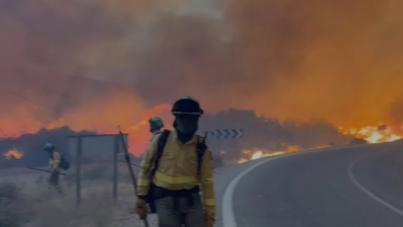Al menos once muertos en el incendio forestal de Los Gallardos (Almería)
