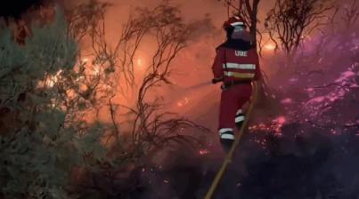 Los múltiples incendios que arrasan la Península ya se han cobrado un muerto
