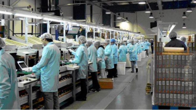 Empleo y la mejoría de la actividad marcan la estabilidad de la industria