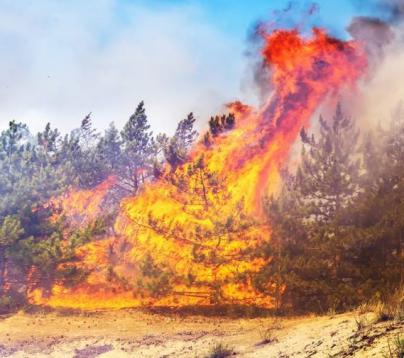 Alerta por riesgo de incendios forestales en islas occidentales y Gran Canaria