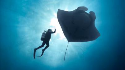 La Laguna recibe al International Ocean Film Tour