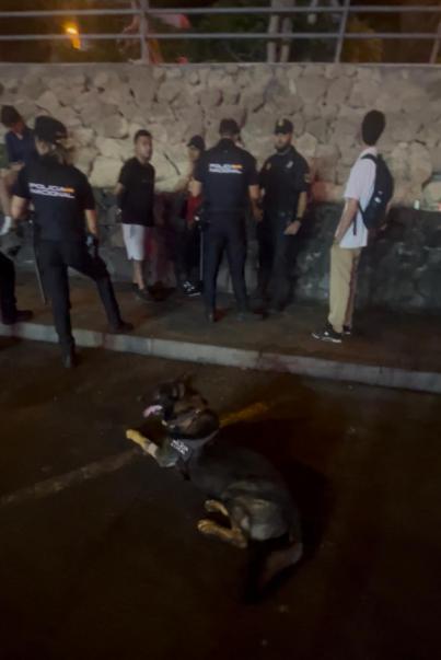 La Unidad Canina K9 de Arona refuerza la seguridad pública