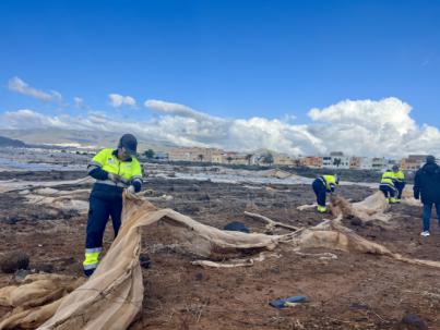 El Cabildo limpia de invernaderos 75 hectáreas