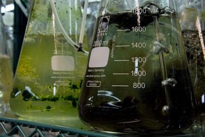 24 investigadores de la ULPGC entre los más influyentes del mundo