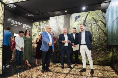 Renovación del centro Juego de Bolas en Garajonay