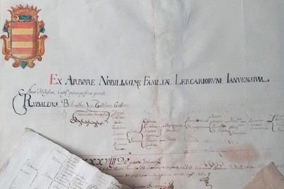 La ULL digitaliza archivos genealógicos de siglos XVI a XX