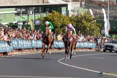 La Palma Ecuestre lanza su calendario de carreras 2026 y abre inscripciones