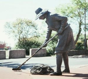 La Pinochera cierra su edición en Gran Canaria con un encuentro entre árboles, cine y comunidad