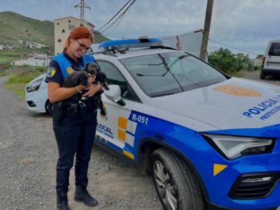 La Policía Local realiza cerca de 1.400 servicios de protección animal