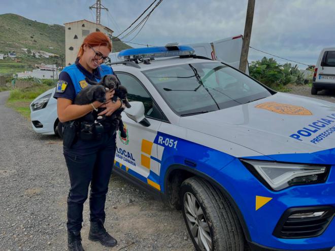 La Policía Local realiza cerca de 1.400 servicios de protección animal