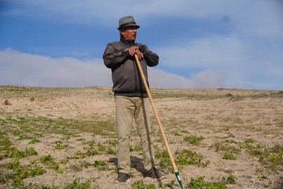 Lanzarote se convierte en Patrimonio Agrícola Mundial de la FAO