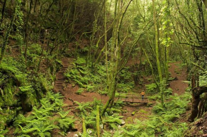 «Senderos del tiempo», el pódcast que recorre los caminos históricos