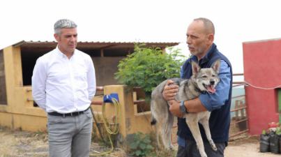 Avanzan en el reconocimiento del lobito herreño como raza autóctona