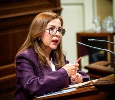 "Hay abrir un debate normativo para agilizar las licencias urbanísticas"