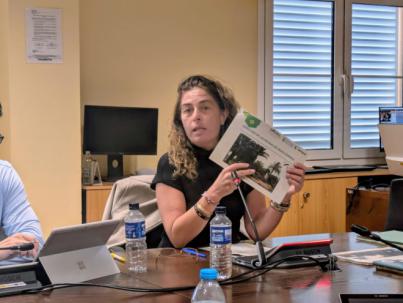 Las Palmas presenta su primer Plan Director del Arbolado Urbano