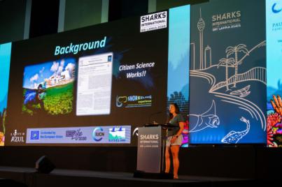 La playa de Las Canteras presenta en Sri Lanka la convivencia entre urbe y biodiversidad marina