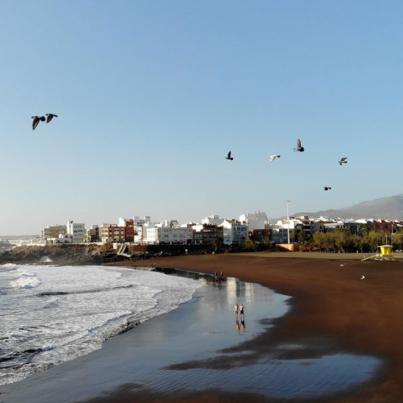 La costa de Telde espera respuestas: el Ayuntamiento pide claridad y apoyo institucional