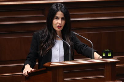 ASG exige una respuesta ante las deficiencias en discapacidad, dependencia e infancia