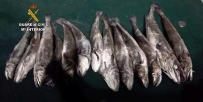Denuncian a tres pescadores deportivos por pescar 52,800 kilos de merluza en Lanzarote