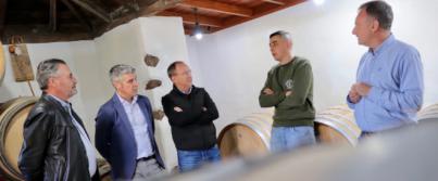 Michael Candelario, el vitivinicultor palmero de 25 años con ventas internacionales