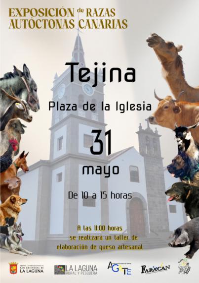 Tejina ofrece este domingo una amplia muestra de razas autóctonas canarias