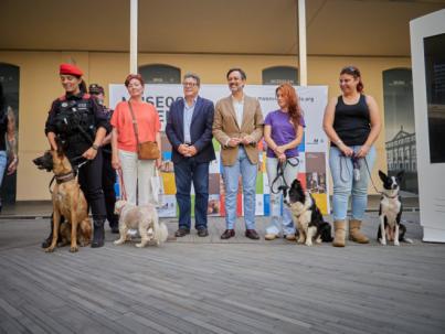 Museos de Tenerife permiten el acceso a mascotas
