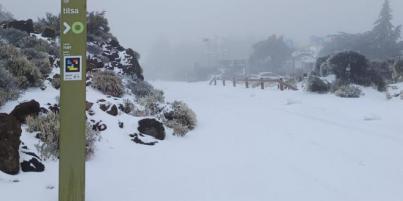 Declaran la prealerta por nevadas en Tenerife, La Palma y Gran Canaria