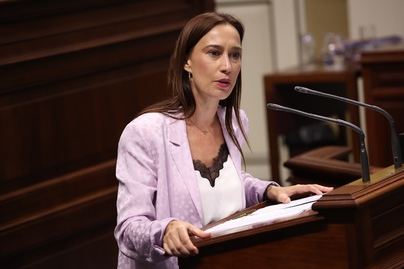 Fierro acusa a CC y PP de convertir la comisión sobre el material sanitario en un “circo político”