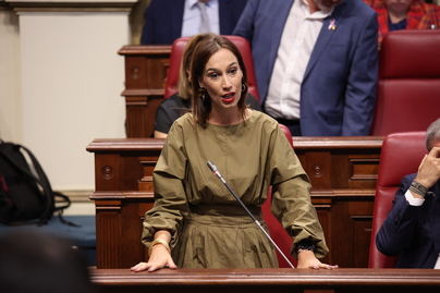 Fierro acusa al PP de no querer colaborar para modificar la Ley de Extranjería