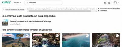 Tripadvisor suprime ofertas de paseos en camello en Lanzarote de su web