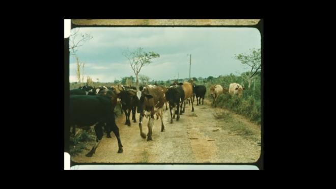 Noche de cortometrajes isleños este jueves en Televisión Canaria