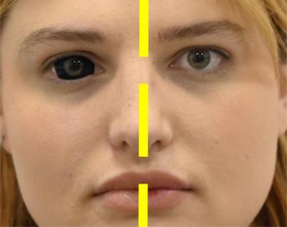Cuestionan la superioridad del ojo humano para comunicar con la mirada