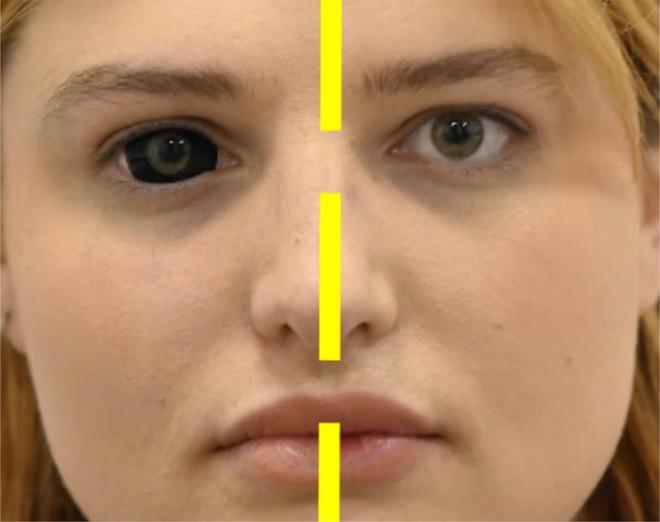 Cuestionan la superioridad del ojo humano para comunicar con la mirada