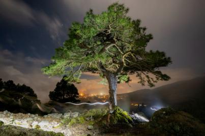 Mario Olmedo y Azara García alcanzan las estrellas en Reventón El Paso