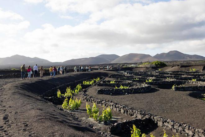 El enoturismo de las Islas Canarias aumenta su alcance y se consolida