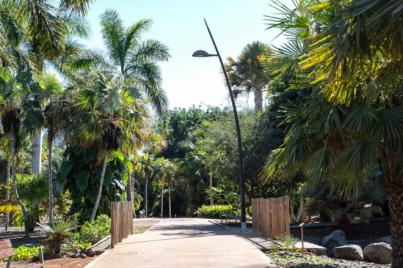 El Palmetum, premiado con el galardón de “Amigos del Botánico”