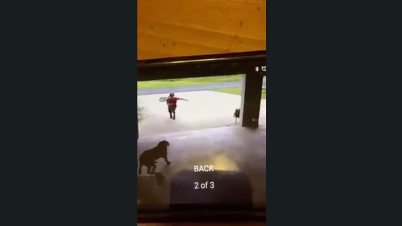 Viraliza el vídeo del niño que abrazaba todos los días al perro de la vecina