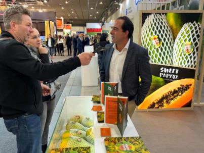 Exportaciones de papaya canaria crecen un 150% desde 2019