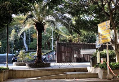 Santa Cruz reabre sus parques, salvo Palmetum y Las Mesas