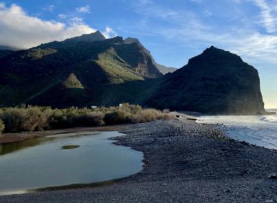 Drago Canarias rechaza nuevo resort en La Aldea de San Nicolás