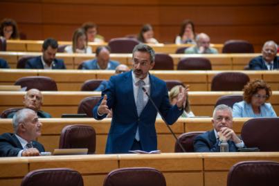 Moción en el Senado contra subidas de tasas aeroportuarias