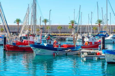 Tres Proyectos pesqueros de La Palma lideran la pesca-turismo en Canarias