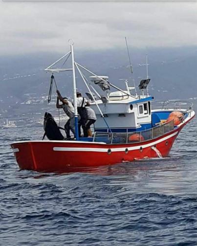 "El modelo de reparto de cuota de atún pone en peligro al sector"