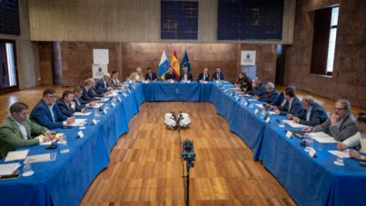 La Fecai y la Fecam apoyan el 'Decreto Canarias'