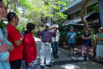 Santa Cruz ofrece un programa de rutas de árboles singulares guiadas por especialistas